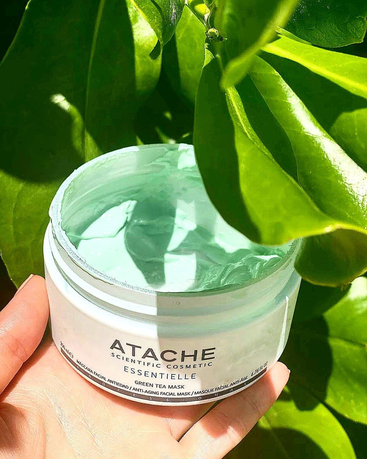 Atache Essentiale Green Tea Mask   in Vienna, Austria, shipping to Germany, Czech, Italy, France, Belgium, Netherlands, EU